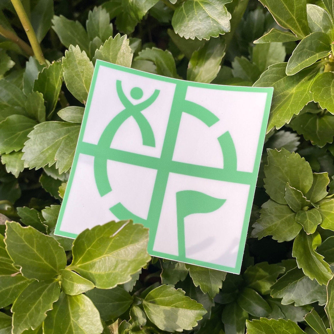 Best Swag to Leave in a Geocache: Make Every Find Special!