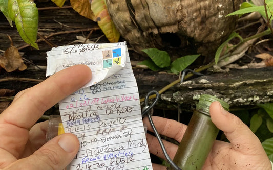 What is Geocaching? - Discover the Thrill of Geocaching with Big B’s Cache Supplies!