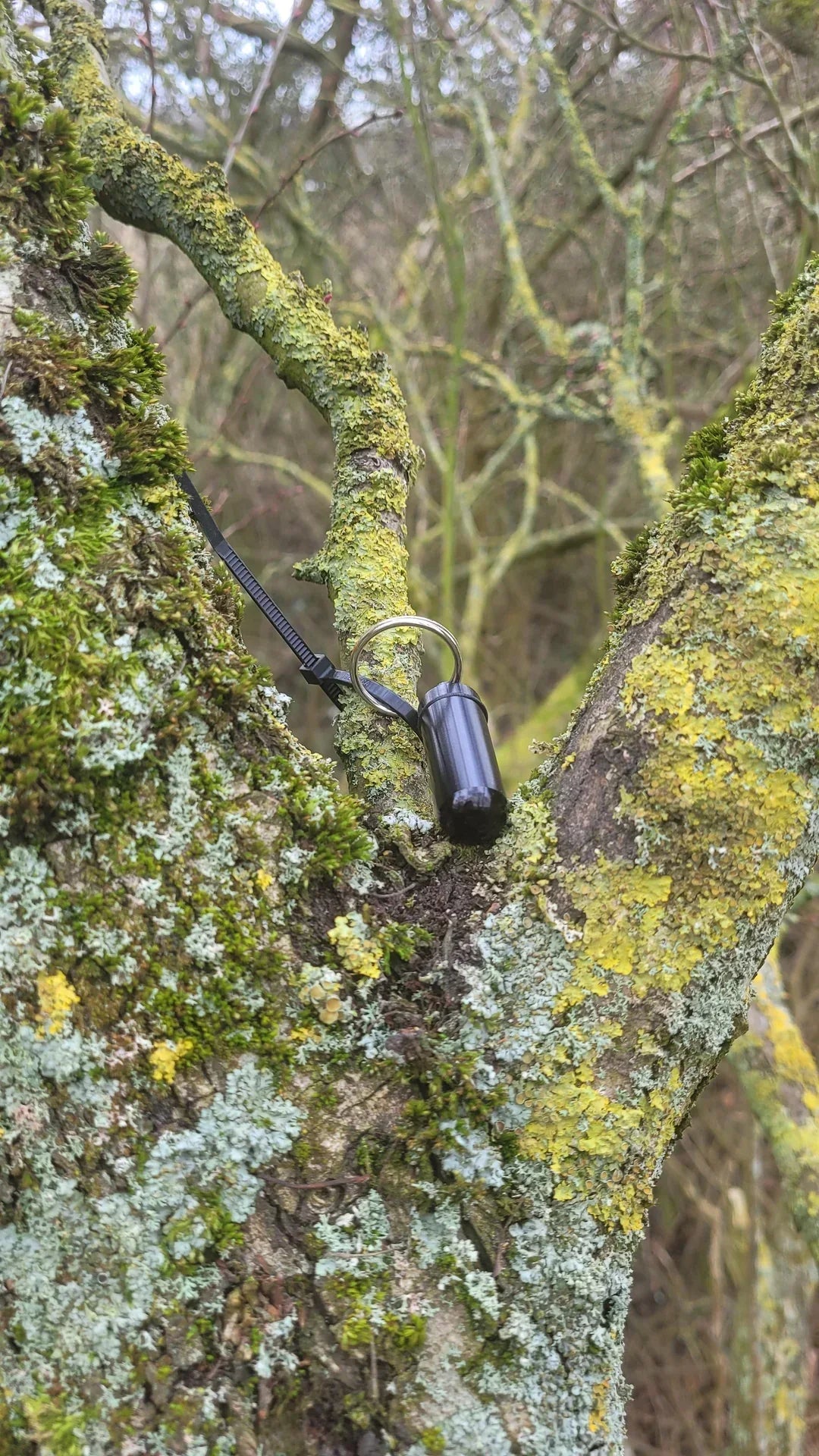 How to Find Even the Trickiest Geocaches