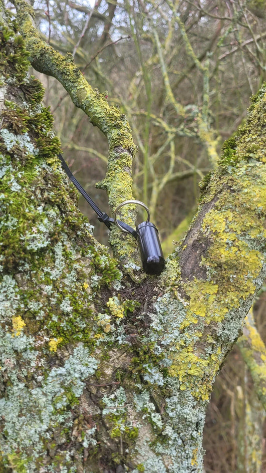 Geocache bison tibe on tree while geoaching GIANT bison tube