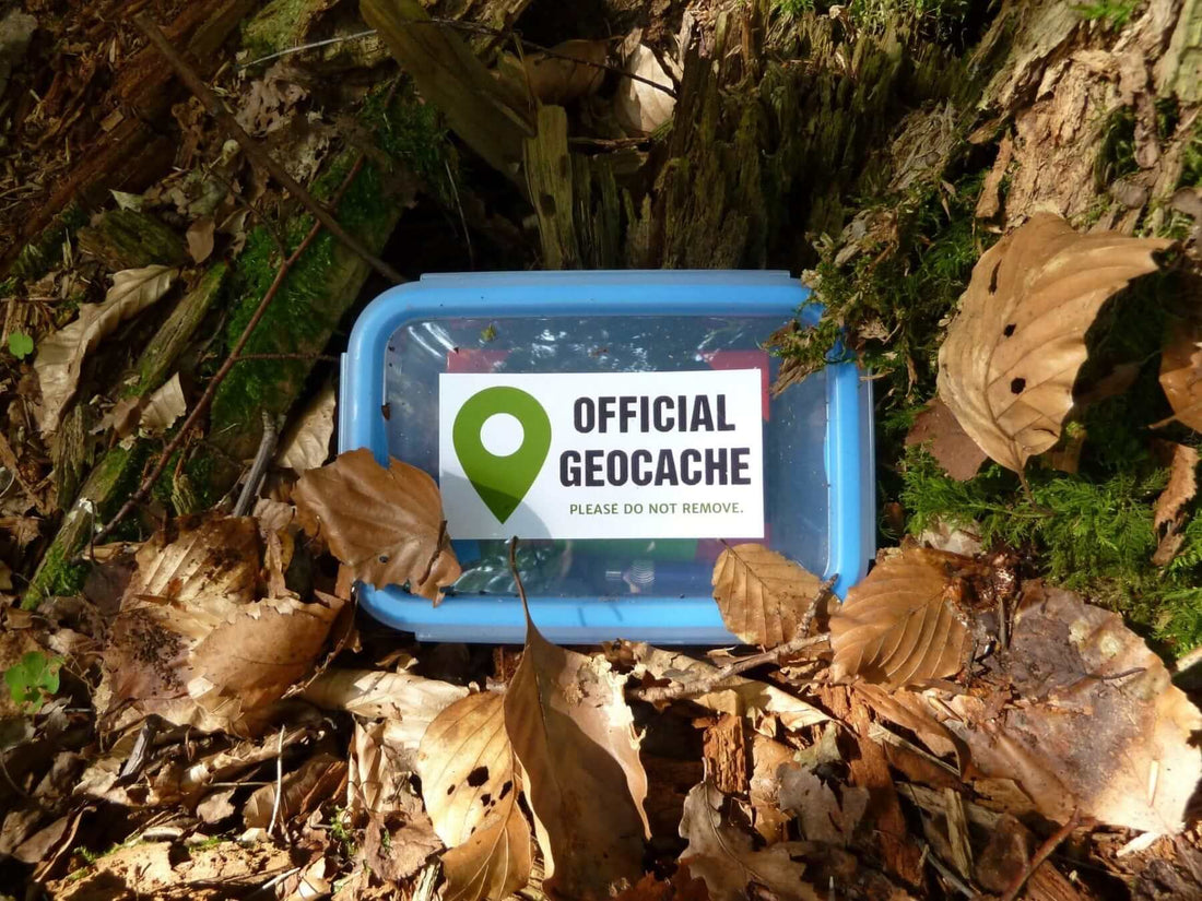 Official Geocahce waterpoof plastic Tupperware container in fall leaves with searh, hunt, hidden, find.