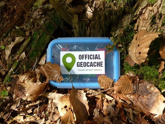 Official Geocahce waterpoof plastic Tupperware container in fall leaves with searh, hunt, hidden, find.