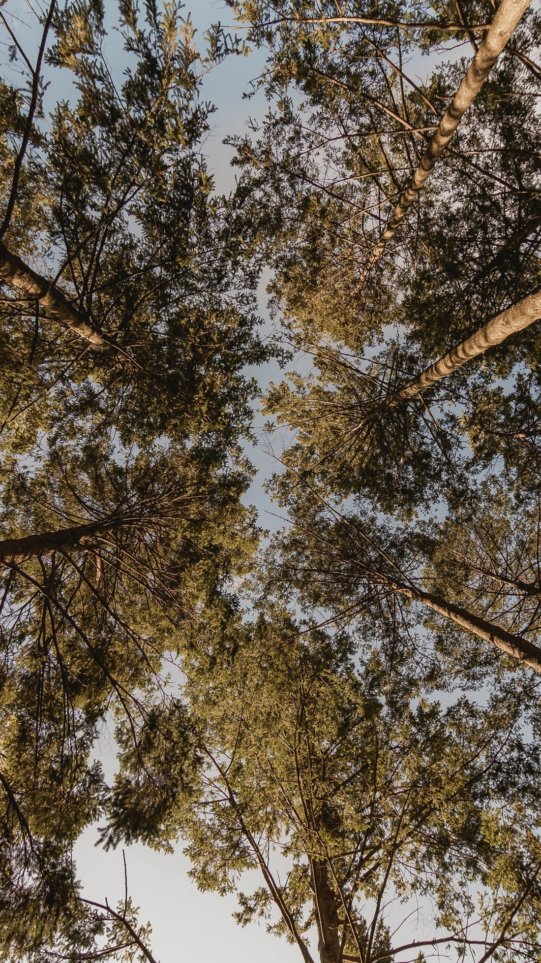 Tips for Maintaining Your Cache So It Doesn’t Get Archived