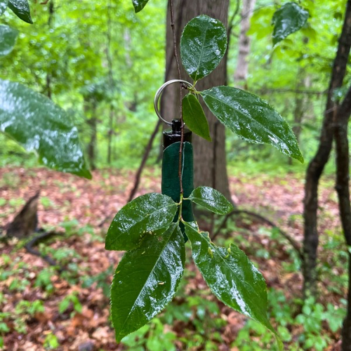 Realistic Leaf Geocache: Waterproof Micro Hide for Geocaching